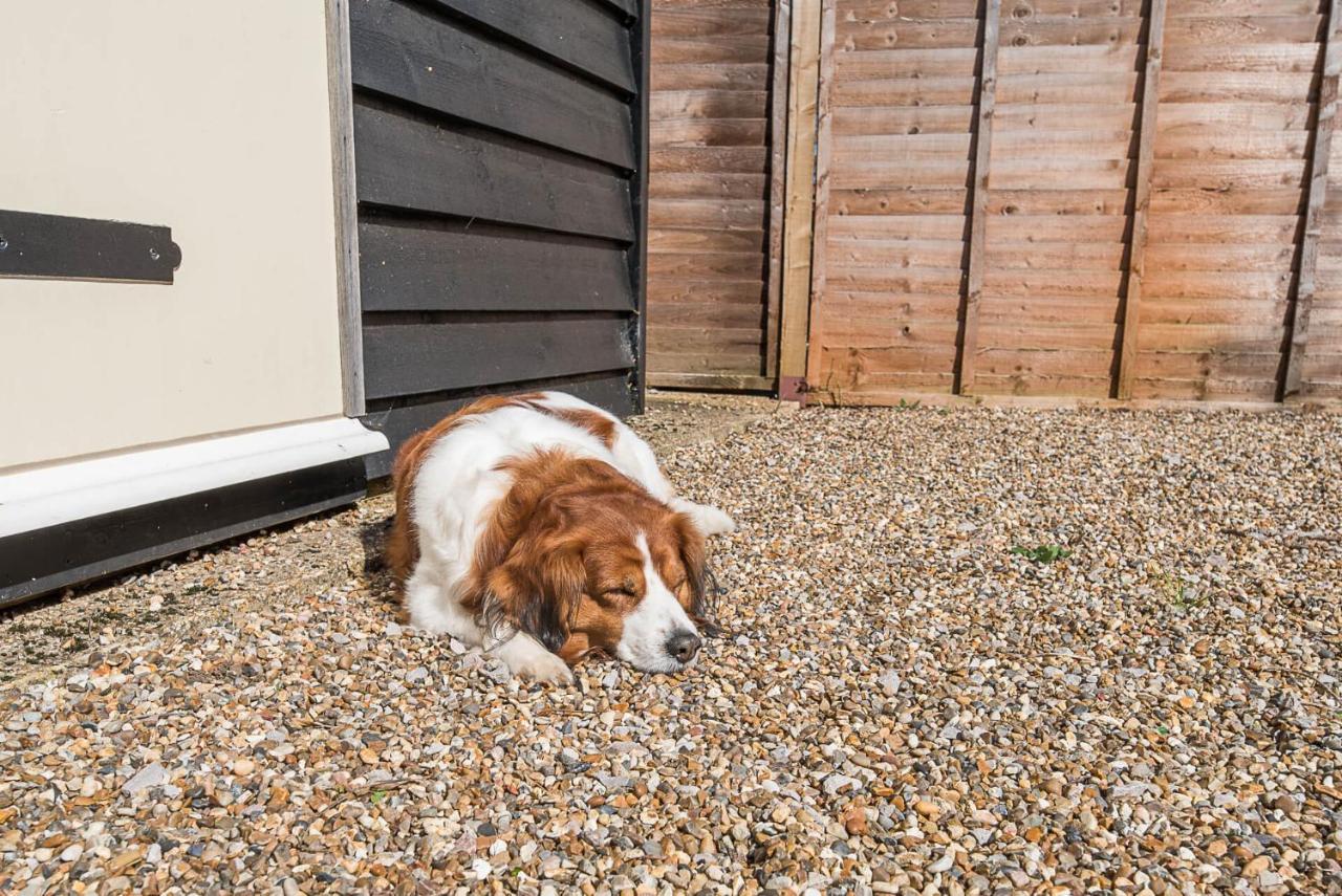 Abigail'S Cottage, Wickham Market Woodbridge Exterior photo